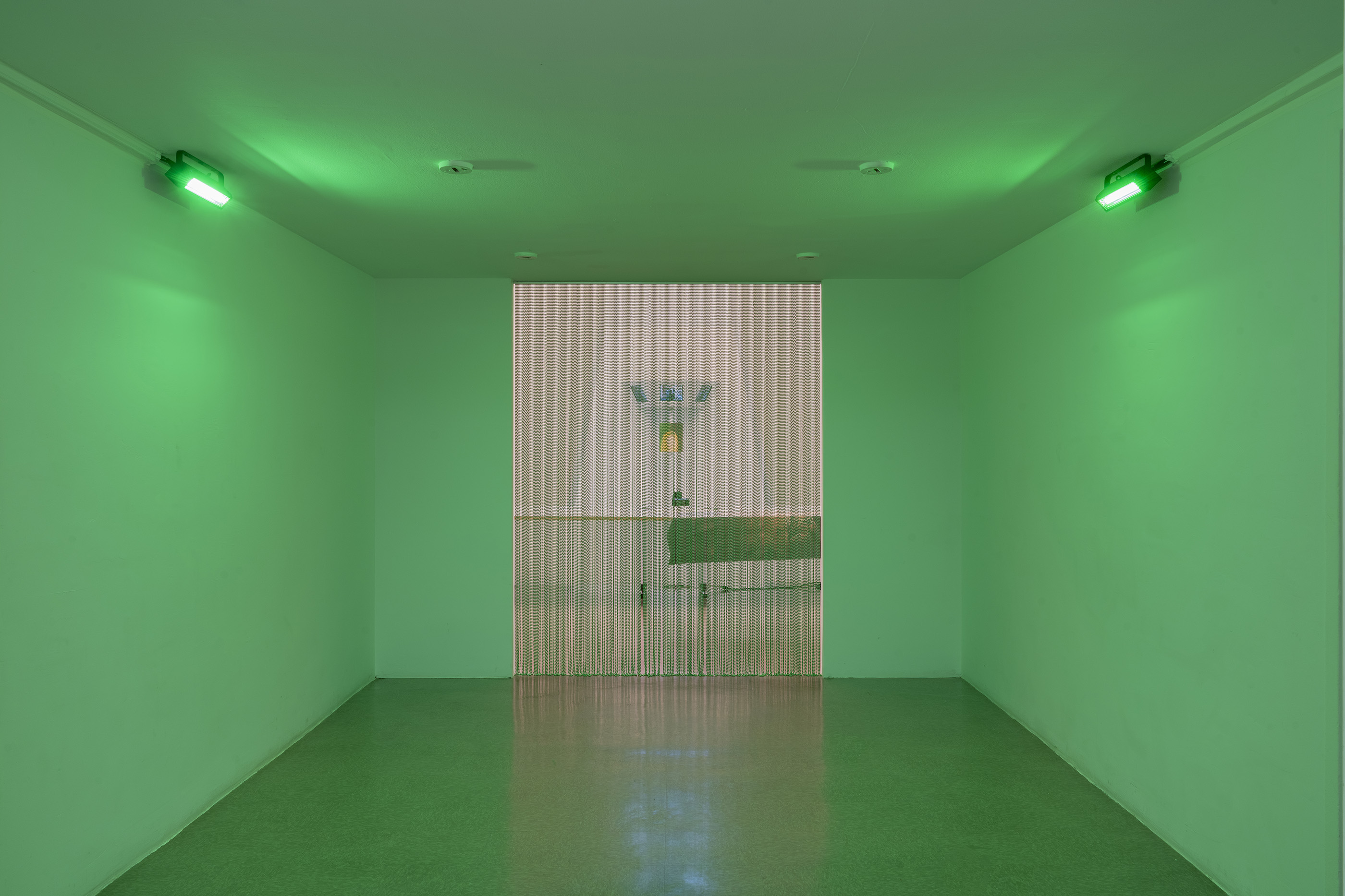 Puppies Puppies: Komorebi